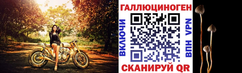 Купить где  Электрогорск  Псилоцибиновые грибы Psilocybine cubensis 