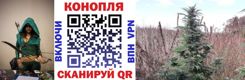 Купить где  Электрогорск  Марихуана индика 